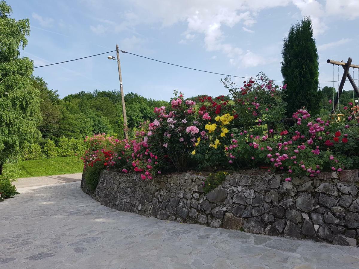 Hotel Pansion Breza Plitvička Jezera Exterior foto